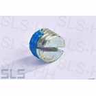 Grub screw
