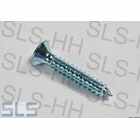 [69] Screw 4,2 x 25