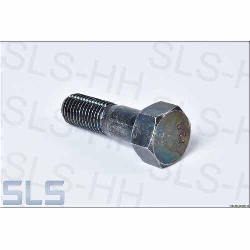 Bolt for Control Arm Mounting Pin