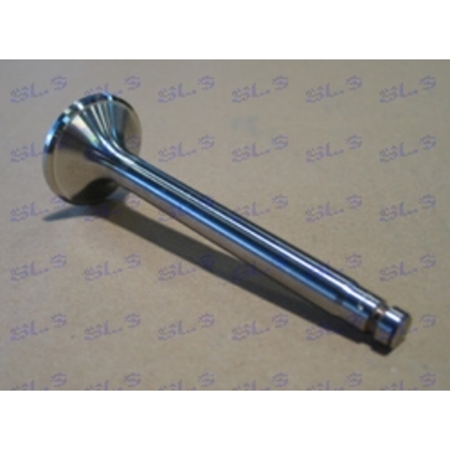 Exhaust valve Na-filled