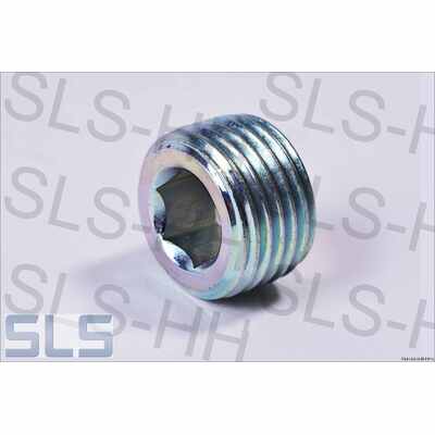Plug screw