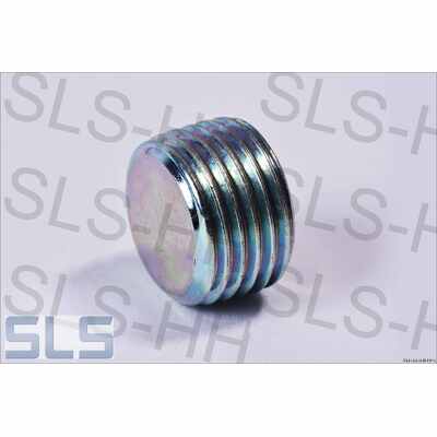 Plug screw