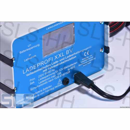 professional battery charger 10A