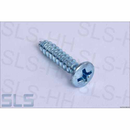 raised csk.head tapping screw 3,9 X19 zinc plated