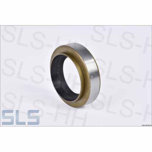 Seal ring, input shaft