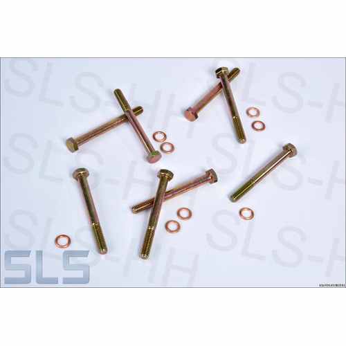 Set 8 pcs cover bolts with o-rings