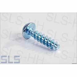 Pan head screws with collar, with screw thread for plastic