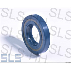 Seal ring PWS-Pump "ZF"