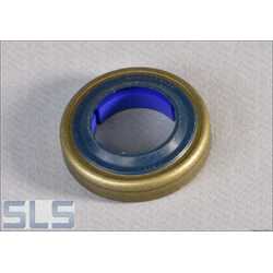seal ring with plastic ring insert