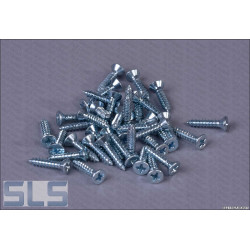 Set of 40 self-tapping screws 2.9 X 13, gill strips